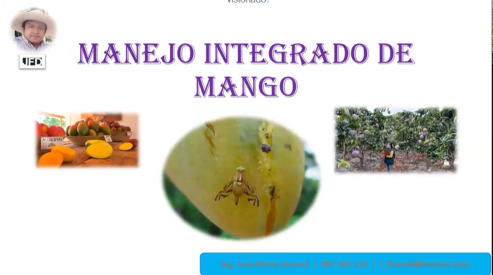 MANEJO INTEGRAL DEL MANGO  PARTE 1